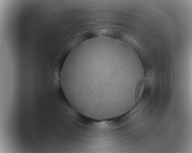 X0000089870430200707051155