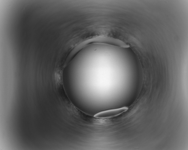 X0000089870432200707051155