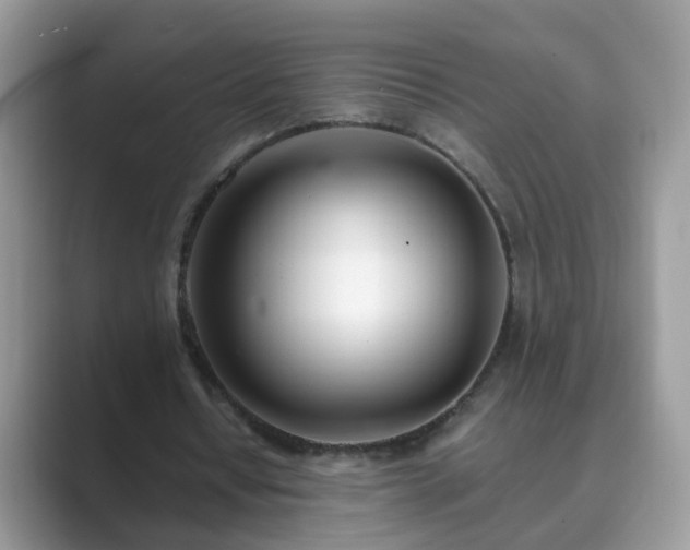 X0000089870434200707051154