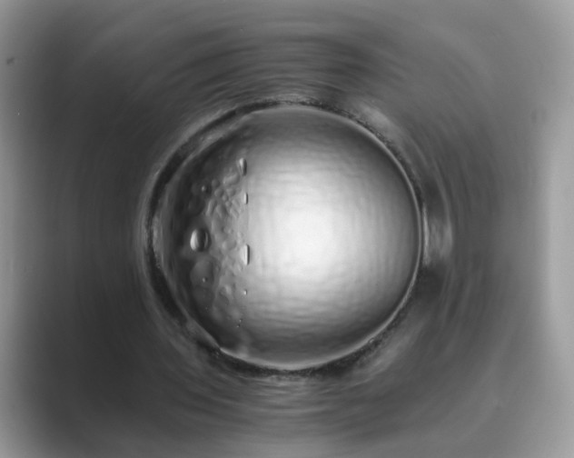 X0000089870435200707051154