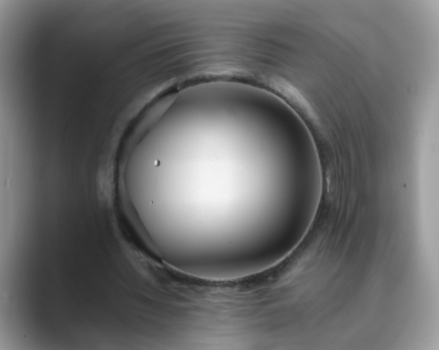 X0000089870436200707051154