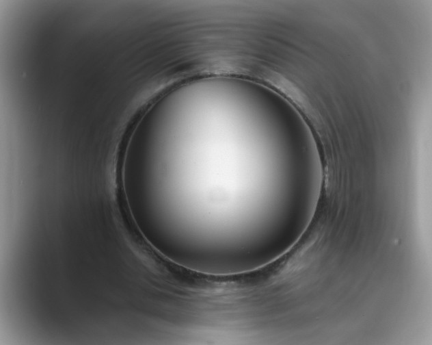 X0000089870438200707051154