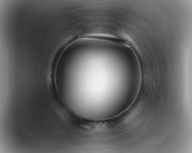 X0000089870443200707051155