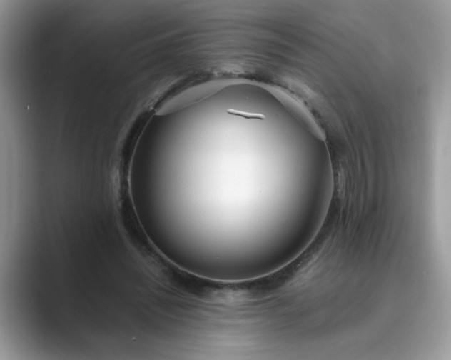 X0000089870444200707051155