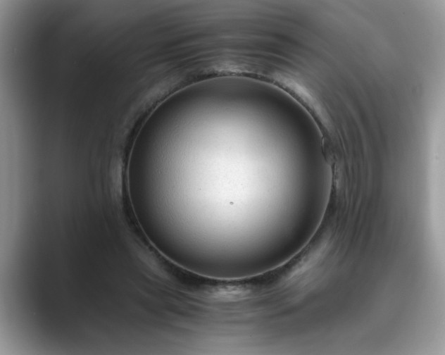 X0000089870445200707051155
