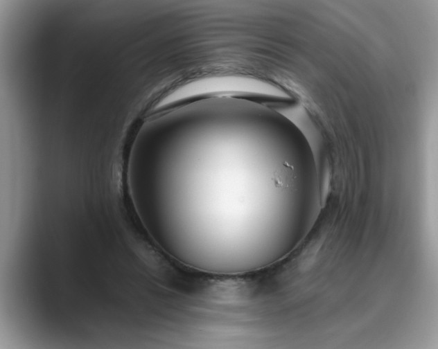 X0000089870446200707051155