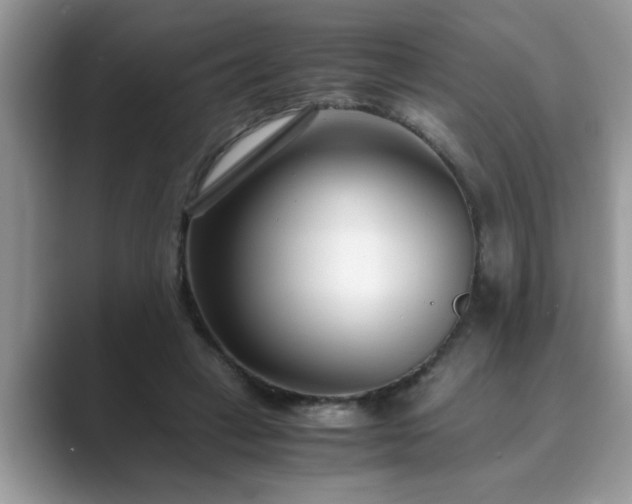X0000089870449200707051155
