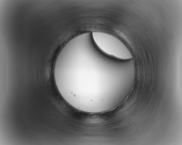 X0000089870451200707051155