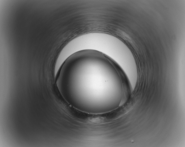 X0000089870452200707051155