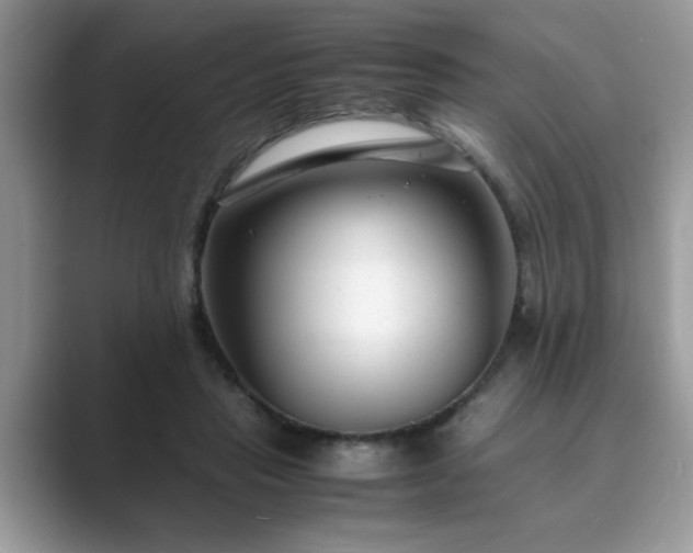 X0000089870453200707051155