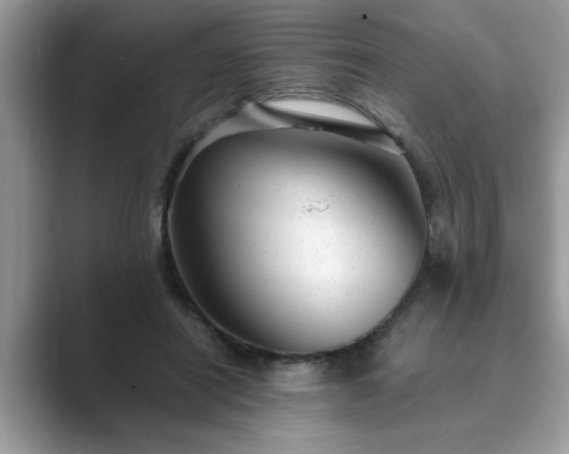 X0000089870454200707051155