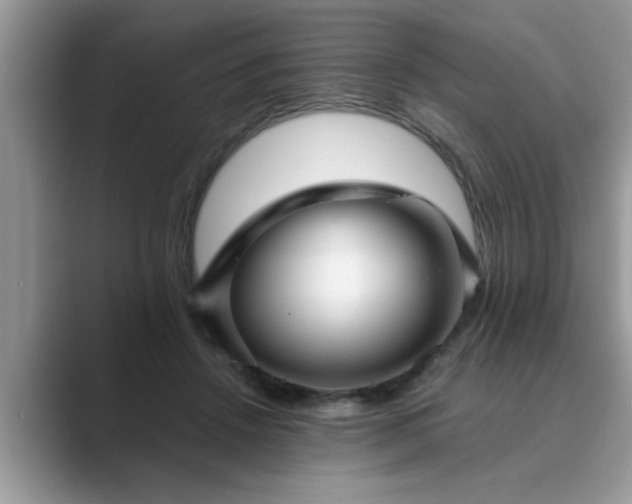 X0000089870456200707051155