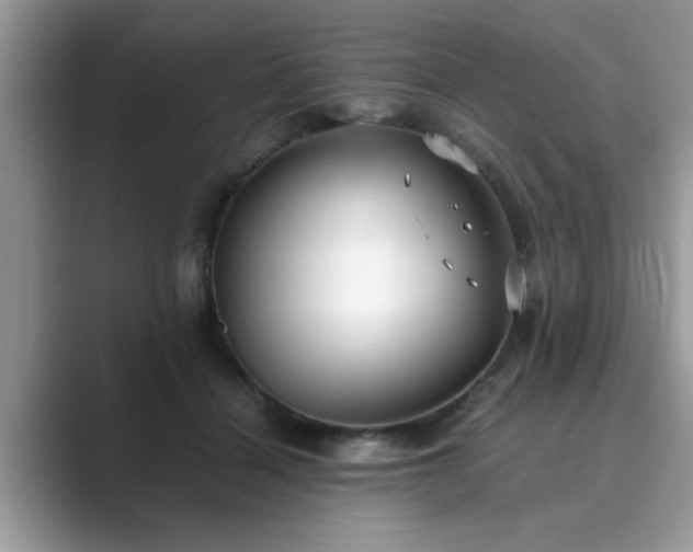 X0000089870460200707051155