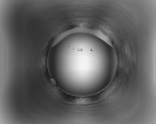 X0000089870461200707051155