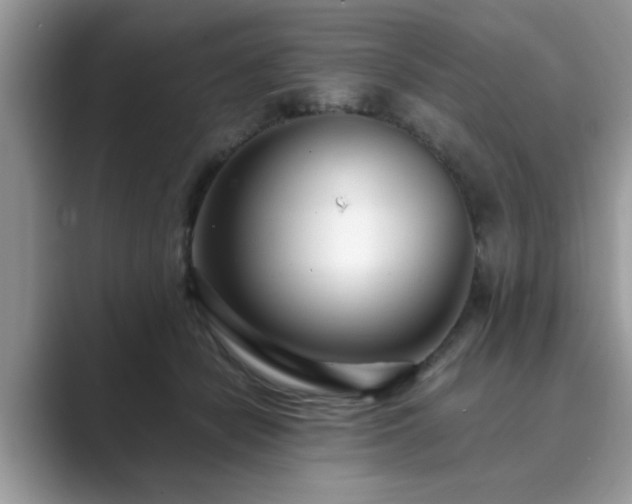 X0000089870462200707051155