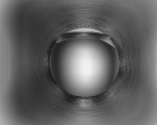 X0000089870466200707051155