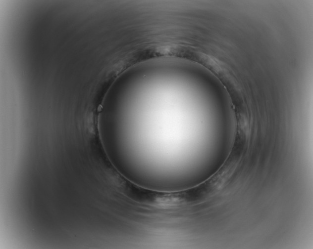 X0000089870470200707051155