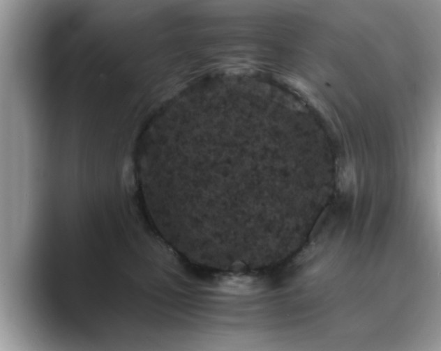 X0000089870471200707051155