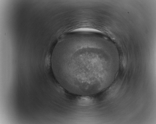 X0000089870475200707051155