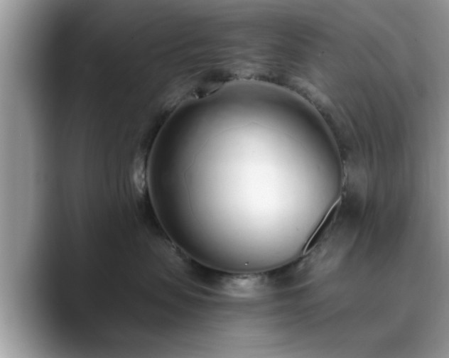 X0000089870479200707051155