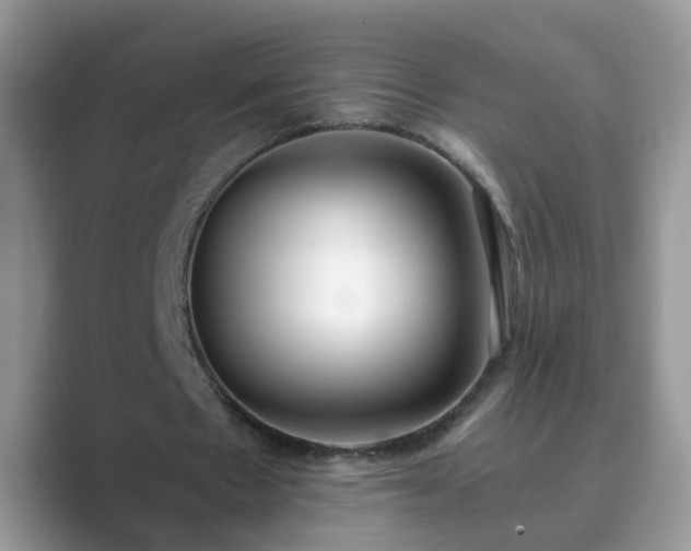 X0000089870481200707051154