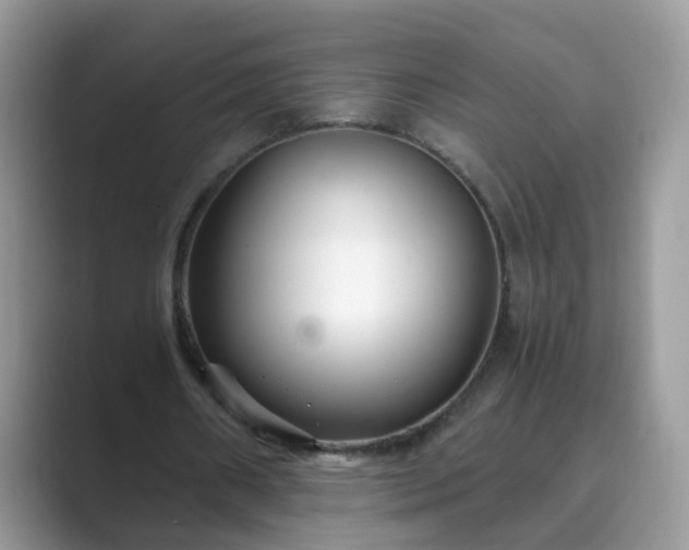 X0000089870482200707051154