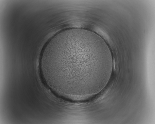 X0000089870483200707051154