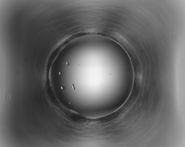 X0000089870484200707051154