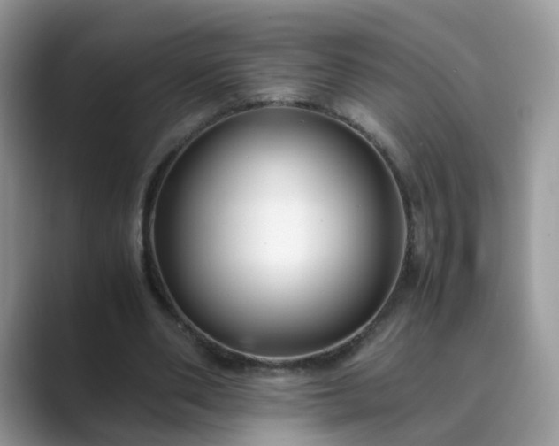 X0000089870486200707051154