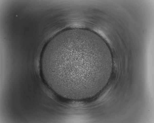 X0000089870487200707051154