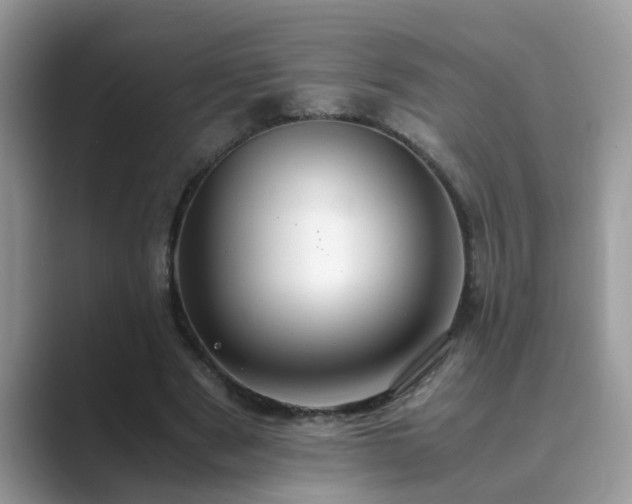 X0000089870489200707051154