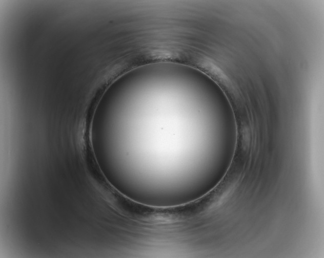 X0000089870490200707051154