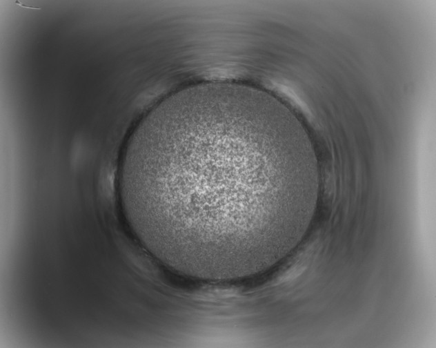 X0000089870491200707051154