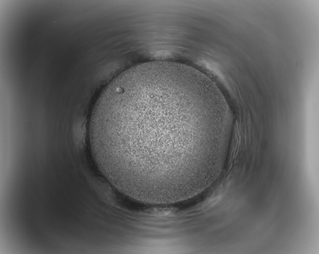 X0000089870495200707051154