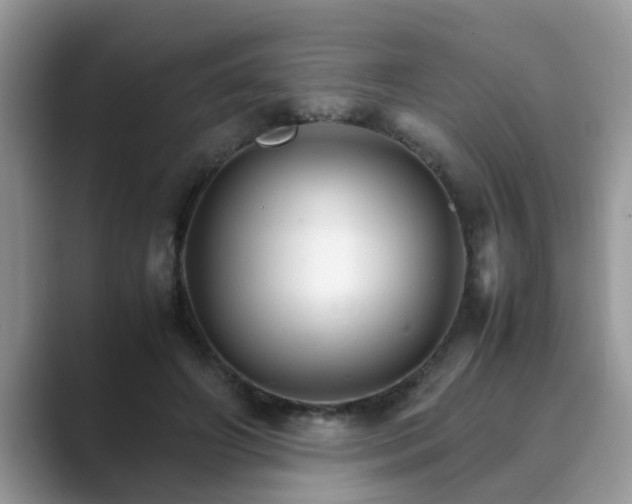 X0000089870498200707051154