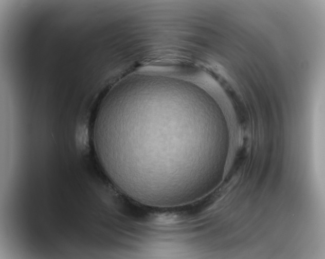 X0000089870500200707051154