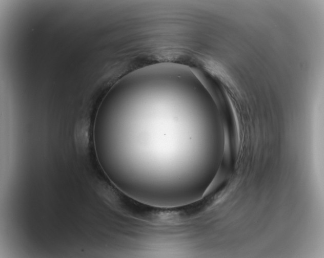 X0000089870501200707051154