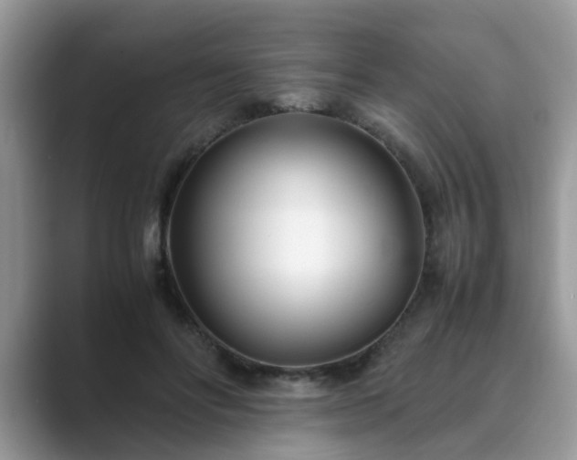 X0000089870502200707051154