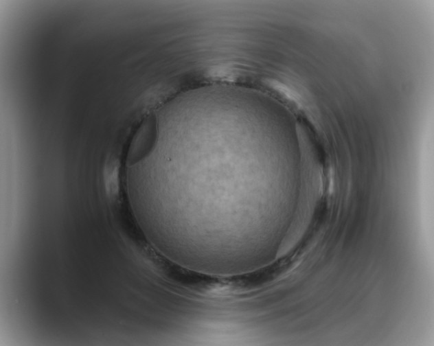 X0000089870504200707051154