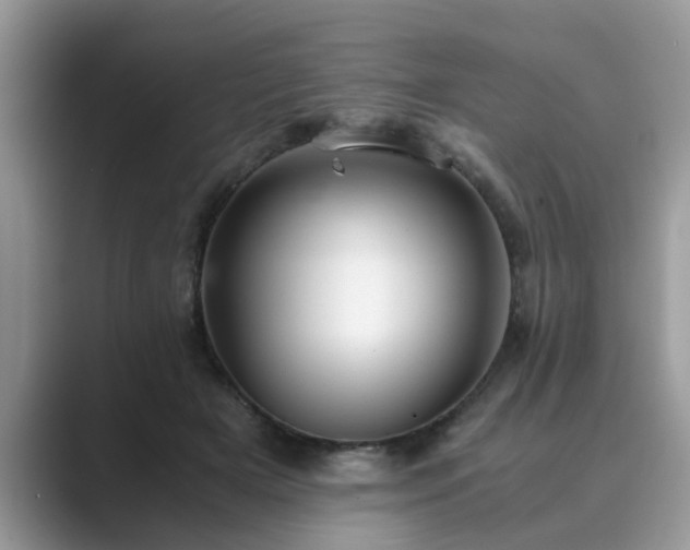 X0000089870505200707051154