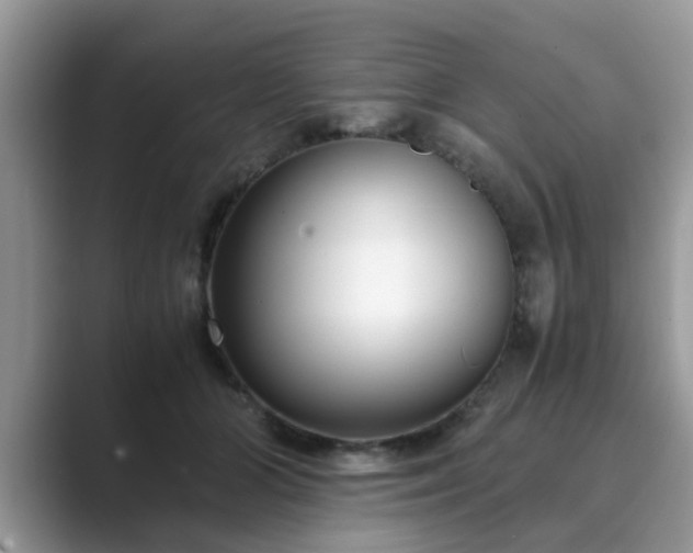 X0000089870510200707051154