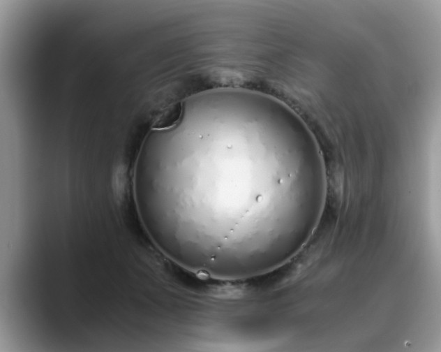 X0000089870511200707051154