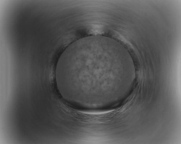 X0000089870517200707051154