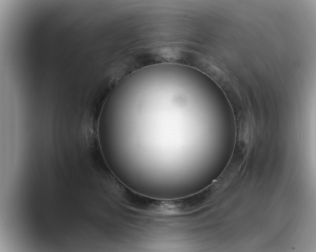 X0000089870518200707051154