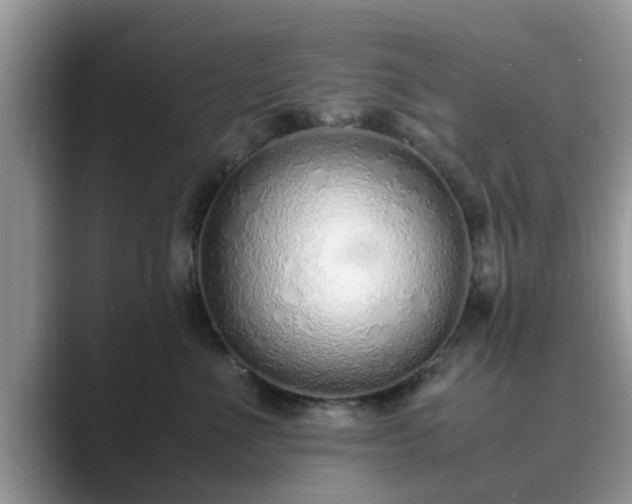 X0000089870523200707051154