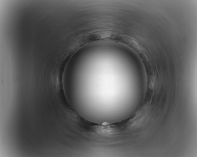 X0000089870524200707051154
