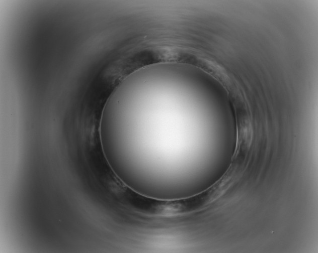 X0000089870525200707051154