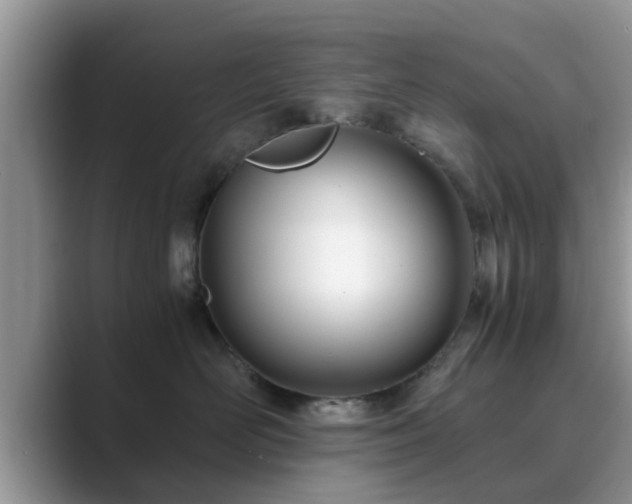 X0000089870526200707051154