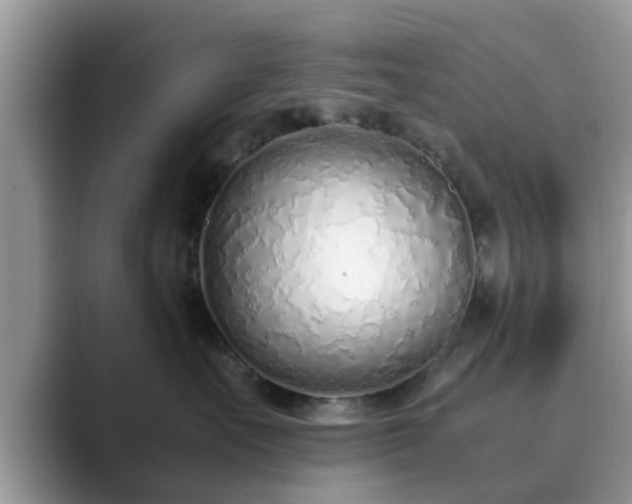X0000089870527200707051154