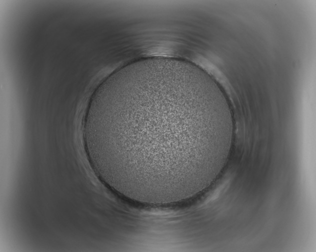 X0000089870529200707051153
